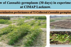 FAPR-GAP430-27Aug-2021 16-003 FAPR-GAP430-27Aug-2021 16-003