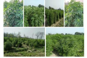 FAPR-GAP430-27Aug-2021 26-005 FAPR-GAP430-27Aug-2021 26-005