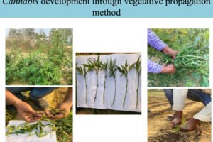 FAPR-GAP430-27Aug-2021 28-006 FAPR-GAP430-27Aug-2021 28-006