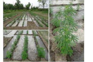 FAPR-GAP430-27Aug-2021 48-007 FAPR-GAP430-27Aug-2021 48-007