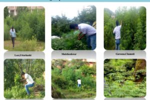 FAPR-GAP430-27Aug-2021 7-002 FAPR-GAP430-27Aug-2021 7-002